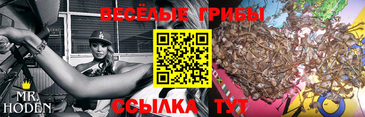 Псилоцибиновые грибы мухоморы  Вход с VPN  Урус-Мартан 